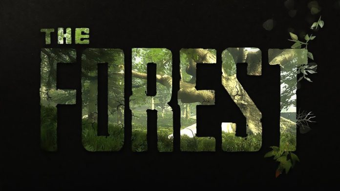 the forest vr controls oculus